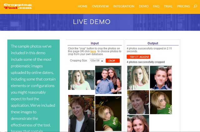 Online face recognition software, Web service for remote face cropping,
